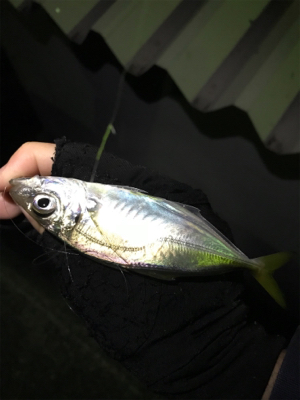 五目達成ライトゲーム