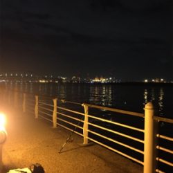 潮が動かない、、、