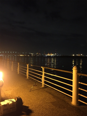 潮が動かない、、、