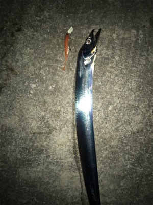 今夜は渋い‼︎