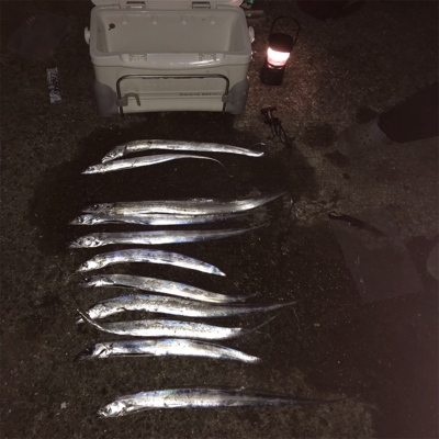 タチウオパーリィ〜