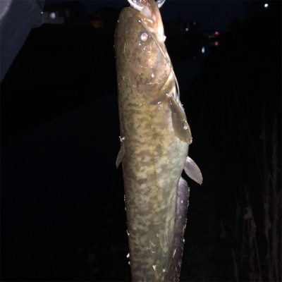 まだまだ行けます！