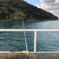 久々ピアー（╹◡╹）