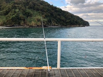 久々ピアー（╹◡╹）