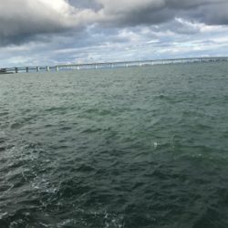 モーニングサービス頂きました！