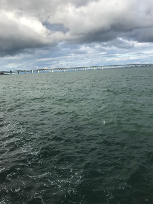 モーニングサービス頂きました！