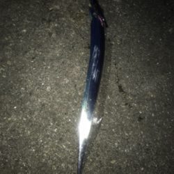 タチウオラッシュ