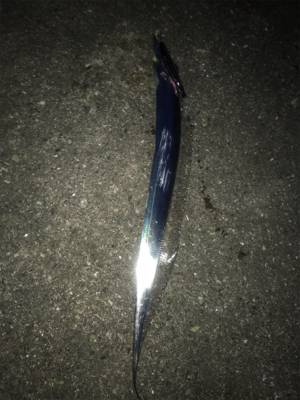 タチウオラッシュ