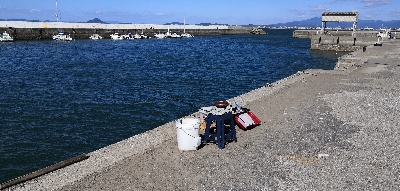 風が強くて内港にて