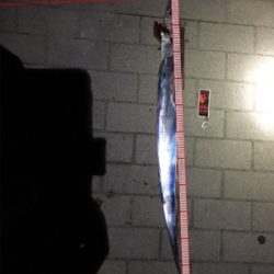 風と寒さに耐え