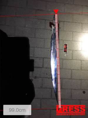 風と寒さに耐え