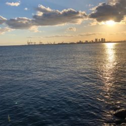 パターンがありそう