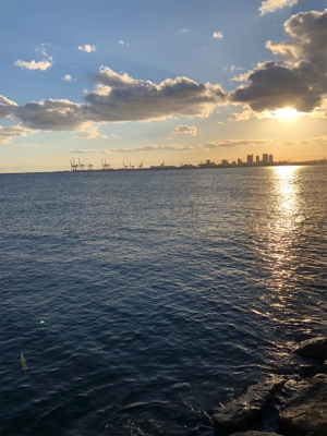 パターンがありそう