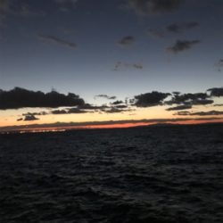 まだ、釣れてますよ！