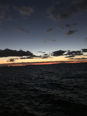 まだ、釣れてますよ！