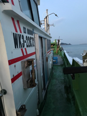 落とし込み釣り