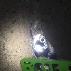 渋かった 寒かった（苦笑）