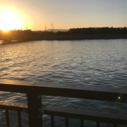 タチウオリベンジ