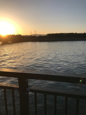 タチウオリベンジ