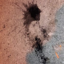 まさかここで！！？？コウイカ！？