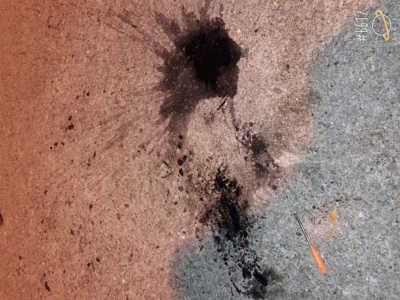 まさかここで！！？？コウイカ！？