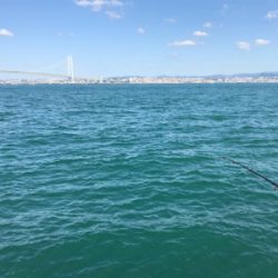 ノマセチャレンジ