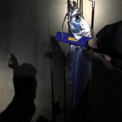 またまた5種目達成！