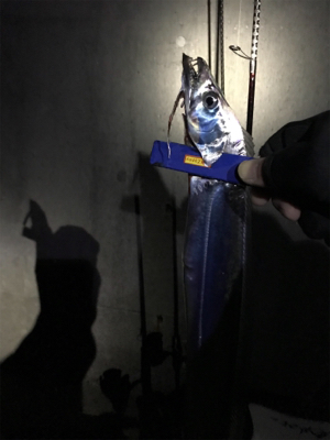 またまた5種目達成！