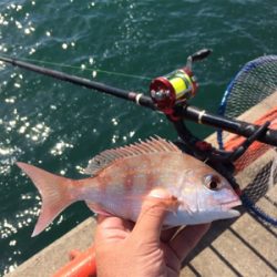 平磯で紅葉狩り