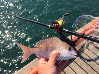 平磯で紅葉狩り