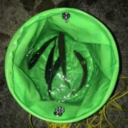 モーニングアジング