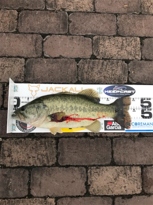 寒い中、トップで！