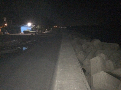 大浦漁港でタチウオ