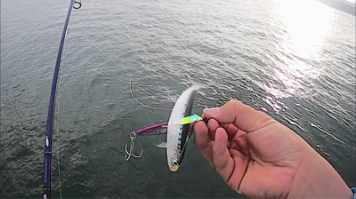 泳がせ釣り&サビキ釣り