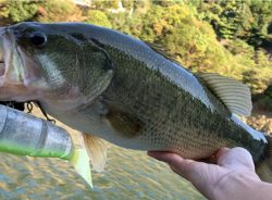 どストライク！！