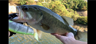 どストライク！！