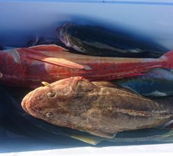 プライベートボートで相馬沖