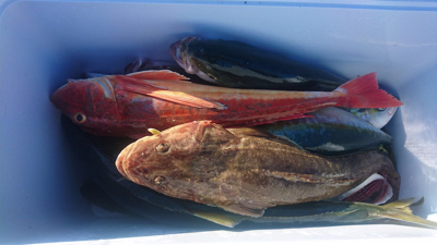 プライベートボートで相馬沖