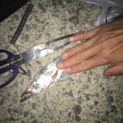 ラインbreakばかりで