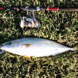 LSJigginger0630〜0730