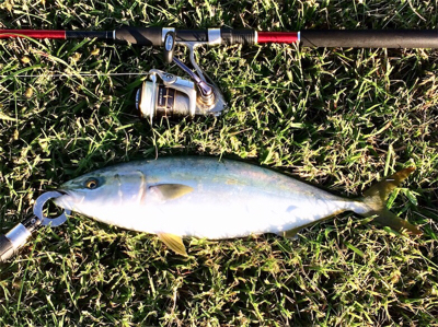 LSJigginger0630〜0730