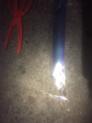 タチウオ＆メバリング