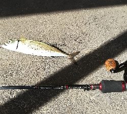 今日もサバゲー