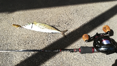 今日もサバゲー