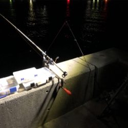 神戸に久々の五目釣り