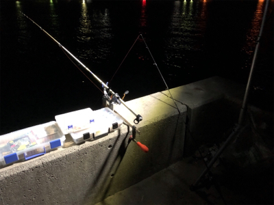 神戸に久々の五目釣り