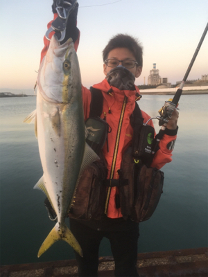 朝まずめ青物ゲーム