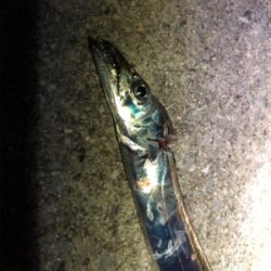 今日は今ふたつ(´༎ຶོρ༎ຶོ`)