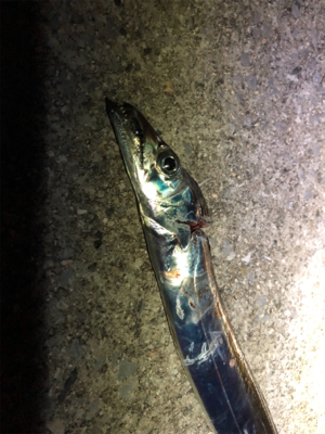 今日は今ふたつ(´༎ຶོρ༎ຶོ`)