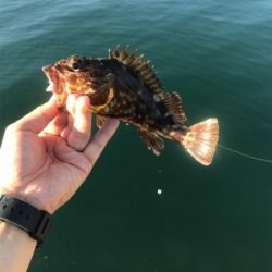 釣りガールへの道